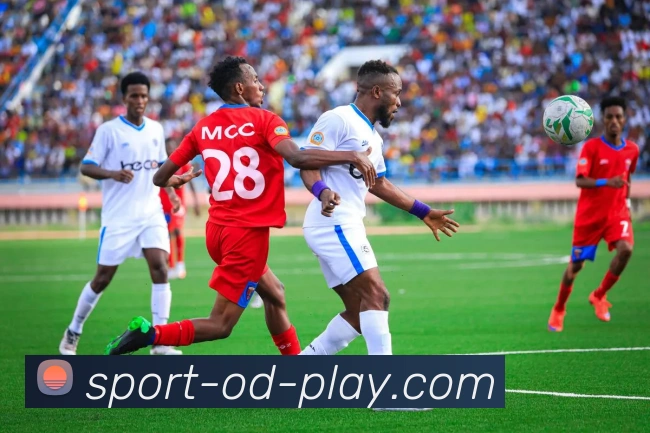 OD体育官方网站sportodplay.com平台生态图